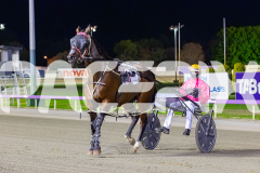 RACE 6 - Brewery Lane