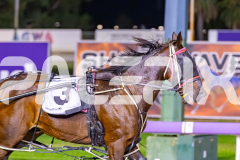 2026_PACEPIX_GP31032026_RACE6_BreweryLane_WIN_WEB-11
