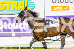 2026_PACEPIX_GP31032026_RACE6_BreweryLane_WIN_WEB-13