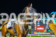 2026_PACEPIX_GP31032026_RACE6_BreweryLane_WIN_WEB-15