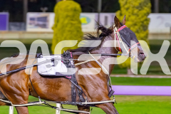 2026_PACEPIX_GP31032026_RACE6_BreweryLane_WIN_WEB-4