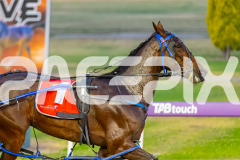 2025_PACEPIX_GP16122025_RACE6_BrooklandsLast_WIN_WEB-11