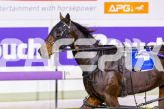 2026_PACEPIX_GP12052026_Race7_BundegiBlue_WIN_WEB-11