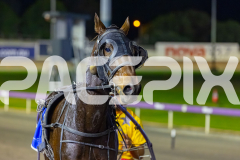 2026_PACEPIX_GP12052026_Race7_BundegiBlue_WIN_WEB-13