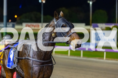 2026_PACEPIX_GP12052026_Race7_BundegiBlue_WIN_WEB-14