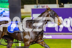 2026_PACEPIX_GP12052026_Race7_BundegiBlue_WIN_WEB-4