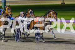2026_PACEPIX_GP20032026_RACE6_BurghlyShard_WIN_WEB-3