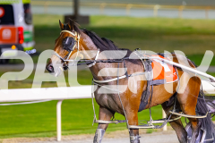 2026_PACEPIX_GP20032026_RACE6_BurghlyShard_WIN_WEB-9