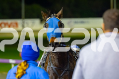 2026_PACEPIX_GP19062026_Race6_CamsBoulder_WIN_WEB-11