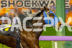 2026_PACEPIX_GP19062026_Race6_CamsBoulder_WIN_WEB-4