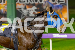 2026_PACEPIX_GP19062026_Race6_CamsBoulder_WIN_WEB-6