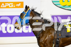 2026_PACEPIX_GP19062026_Race6_CamsBoulder_WIN_WEB-9