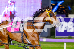 2026_PACEPIX_GP07042026_RACE6_CaptainCooper_WIN_WEB-10