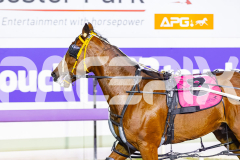 2026_PACEPIX_GP07042026_RACE6_CaptainCooper_WIN_WEB-12