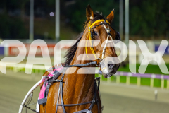 2026_PACEPIX_GP07042026_RACE6_CaptainCooper_WIN_WEB-14