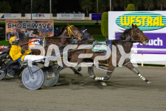 Cee-Dee-Three_26-06-2026_WIN_Gloucester-Park_6__08