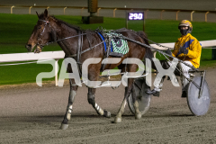 Cee-Dee-Three_26-06-2026_WIN_Gloucester-Park_6__11