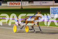 2025_PACEPIX_GP07102025_RACE6_CherryOnTheCake_WIN_WEB-11