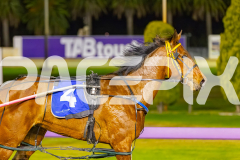 2025_PACEPIX_GP07102025_RACE6_CherryOnTheCake_WIN_WEB-19