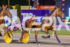 2025_PACEPIX_GP07102025_RACE6_CherryOnTheCake_WIN_WEB-3