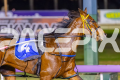 2025_PACEPIX_GP07102025_RACE6_CherryOnTheCake_WIN_WEB-4