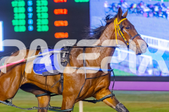 2025_PACEPIX_GP07102025_RACE6_CherryOnTheCake_WIN_WEB-7