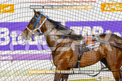2026_PACEPIX_GP01092026_Race6_ChiefCopy_WIN_WEB-10