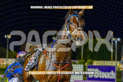2026_PACEPIX_GP01092026_Race6_ChiefCopy_WIN_WEB-12