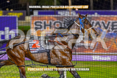 2026_PACEPIX_GP01092026_Race6_ChiefCopy_WIN_WEB-2