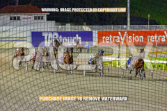 2026_PACEPIX_GP01092026_Race6_ChiefCopy_WIN_WEB-3