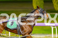 2026_PACEPIX_GP26052026_RACE6_Ciganda_WIN_WEB-12