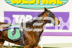 2026_PACEPIX_GP26052026_RACE6_Ciganda_WIN_WEB-13