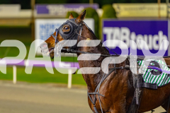 2026_PACEPIX_GP26052026_RACE6_Ciganda_WIN_WEB-15
