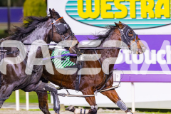 2026_PACEPIX_GP26052026_RACE6_Ciganda_WIN_WEB-5