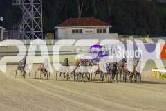2025_PACEPIX_GP22082025_Race6_ColdHardCash_WIN_WEB-1