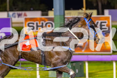 2025_PACEPIX_GP22082025_Race6_ColdHardCash_WIN_WEB-11