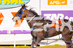 2025_PACEPIX_GP22082025_Race6_ColdHardCash_WIN_WEB-13