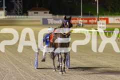 2025_PACEPIX_GP22082025_Race6_ColdHardCash_WIN_WEB-14