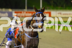 2025_PACEPIX_GP22082025_Race6_ColdHardCash_WIN_WEB-15