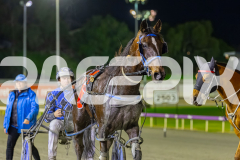 2025_PACEPIX_GP22082025_Race6_ColdHardCash_WIN_WEB-18