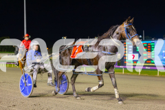 2025_PACEPIX_GP22082025_Race6_ColdHardCash_WIN_WEB-19