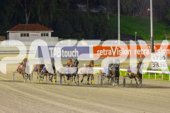 2025_PACEPIX_GP22082025_Race6_ColdHardCash_WIN_WEB-2
