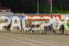 2025_PACEPIX_GP22082025_Race6_ColdHardCash_WIN_WEB-3
