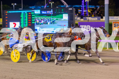 2025_PACEPIX_GP22082025_Race6_ColdHardCash_WIN_WEB-7