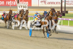 Como-El-Viento_17-02-2026_WIN_Cloucester-Park_6__02