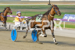Como-El-Viento_17-02-2026_WIN_Cloucester-Park_6__04