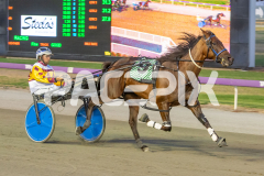 Como-El-Viento_17-02-2026_WIN_Cloucester-Park_6__06