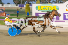 Como-El-Viento_17-02-2026_WIN_Cloucester-Park_6__07