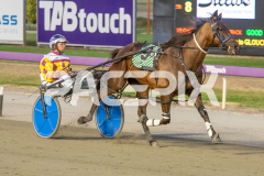 Como-El-Viento_17-02-2026_WIN_Cloucester-Park_6__09
