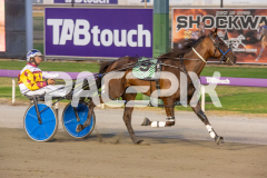 Como-El-Viento_17-02-2026_WIN_Cloucester-Park_6__10